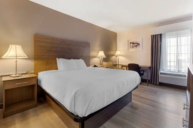 Standard Oda, 1 En Büyük (King) Boy Yatak, Engellilere Uygun, Buzdolabı ve Mikrodalga