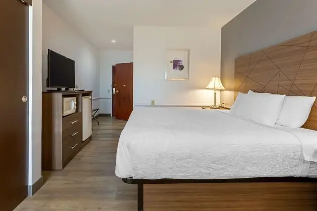 Standard Oda, 1 En Büyük (King) Boy Yatak, Engellilere Uygun, Buzdolabı ve Mikrodalga