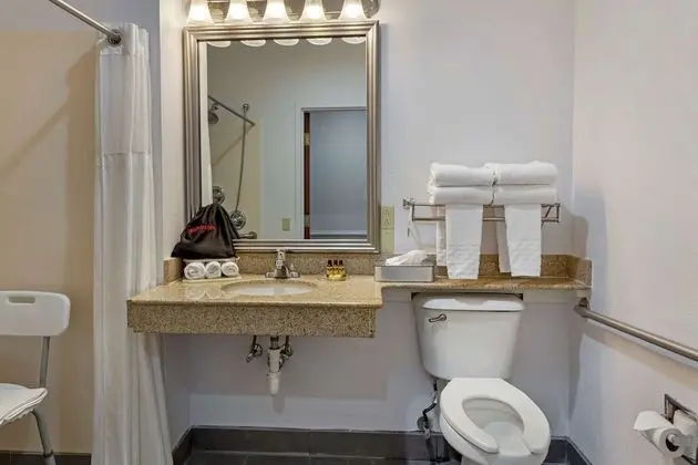 Standard Oda, 1 En Büyük (King) Boy Yatak, Engellilere Uygun, Buzdolabı ve Mikrodalga