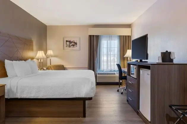 Süit, 1 En Büyük (King) Boy Yatak, Sigara İçilmez, Sıcak Su Küveti