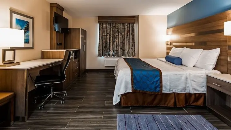 Standard Oda, 1 En Büyük (King) Boy Yatak, Engellilere Uygun, Sigara İçilmez (Walk-in Shower)