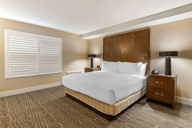 Standard Oda, 1 En Büyük (King) Boy Yatak, Engellilere Uygun, Sigara İçilmez (Walk-in Shower)