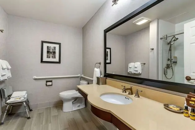 Standard Oda, 1 En Büyük (King) Boy Yatak, Engellilere Uygun, Sigara İçilmez (Walk-in Shower)