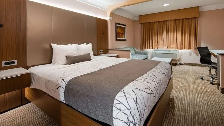 Standard Oda, 1 En Büyük (King) Boy Yatak ve Çekyat, Sigara İçilmez, Buzdolabı (with Sofabed)
