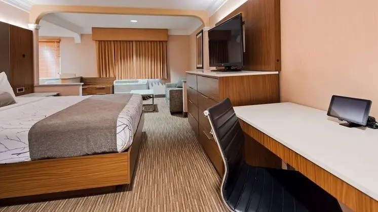 Standard Oda, 1 En Büyük (King) Boy Yatak ve Çekyat, Sigara İçilmez, Buzdolabı (with Sofabed)