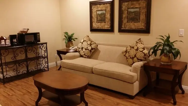 Süit, Birden Çok Yatak, Sigara İçilmez (Living Room;with Sofabed)