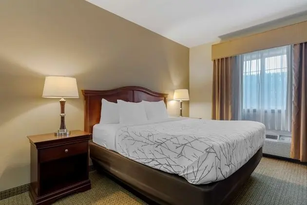 Standard Oda, 1 En Büyük (King) Boy Yatak, Sigara İçilmez, Buzdolabı ve Mikrodalga (Pet Friendly)