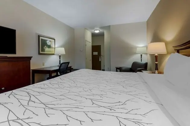 Standard Oda, 1 En Büyük (King) Boy Yatak, Sigara İçilmez, Buzdolabı ve Mikrodalga (Pet Friendly)