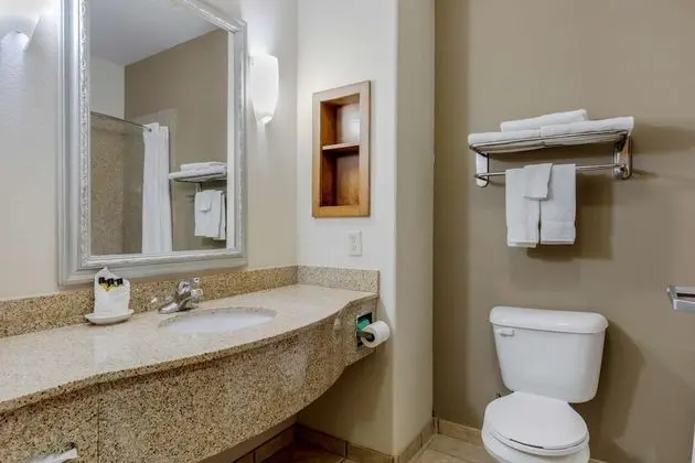 Standard Oda, 1 En Büyük (King) Boy Yatak, Sigara İçilmez, Buzdolabı ve Mikrodalga (Pet Friendly)