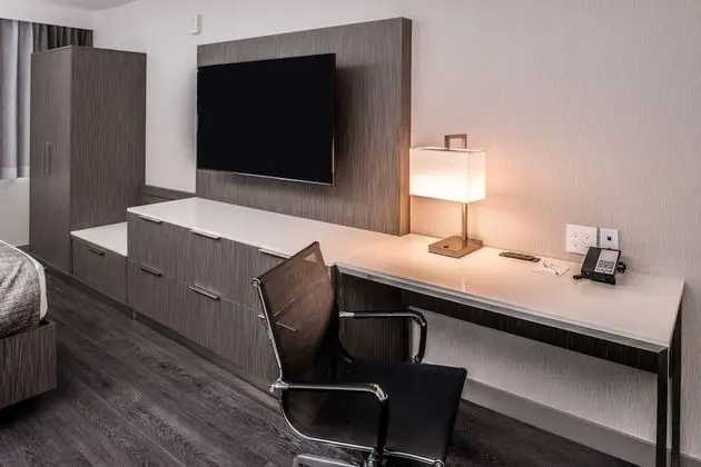 Süit, 1 En Büyük (King) Boy Yatak, Engellilere Uygun, Sigara İçilmez (Walk-in Shower;with Sofabed)