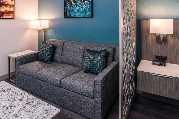 Süit, 1 En Büyük (King) Boy Yatak, Engellilere Uygun, Sigara İçilmez (Walk-in Shower;with Sofabed)