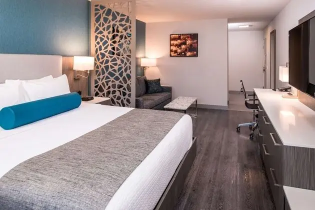 Süit, 1 En Büyük (King) Boy Yatak, Engellilere Uygun, Sigara İçilmez (Walk-in Shower;with Sofabed)