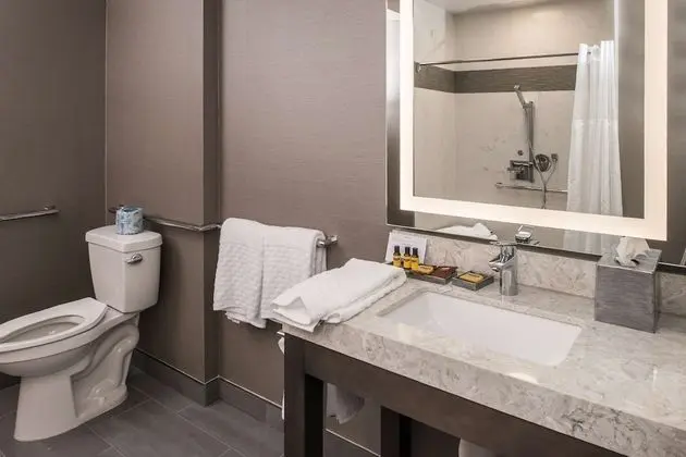Süit, 1 En Büyük (King) Boy Yatak, Engellilere Uygun, Sigara İçilmez (Walk-in Shower;with Sofabed)