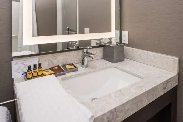 Süit, 1 En Büyük (King) Boy Yatak, Engellilere Uygun, Sigara İçilmez (Walk-in Shower;with Sofabed)