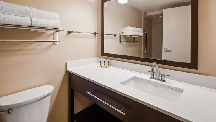 Süit, 1 En Büyük (King) Boy Yatak, Sigara İçilmez, Küçük Mutfak (Penthouse Suite)