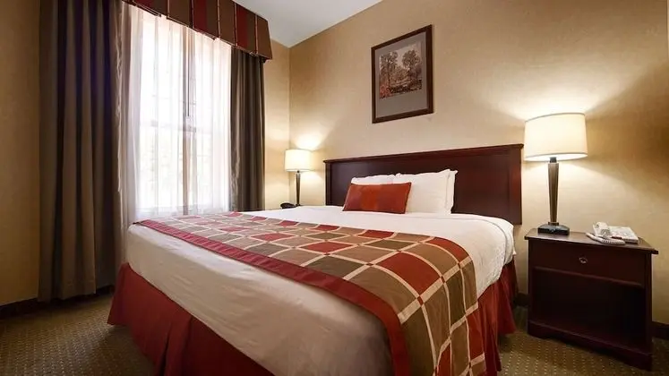 Süit, 1 En Büyük (King) Boy Yatak, Sigara İçilmez, Buzdolabı ve Mikrodalga