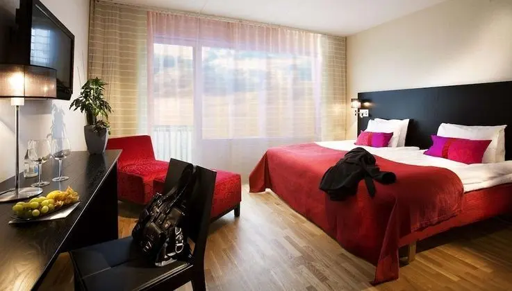 Premium Oda, 1 En Büyük (King) Boy Yatak, Sigara İçilmez