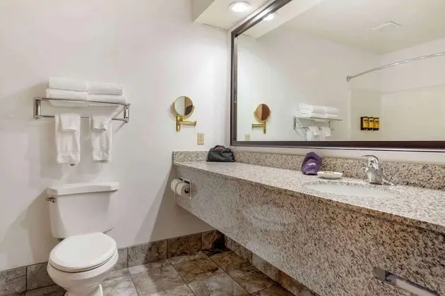 Süit, 1 En Büyük (King) Boy Yatak ve Çekyat, Engellilere Uygun, Sigara İçilmez (Bathtub)
