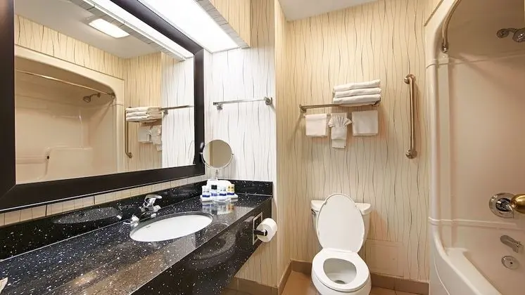 Standard Oda, 1 En Büyük (King) Boy Yatak, Sigara İçilmez, Buzdolabı ve Mikrodalga