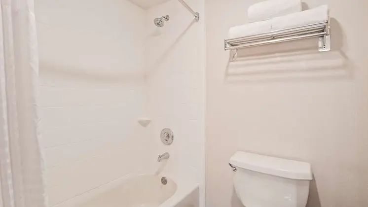Standard Oda, 1 En Büyük (King) Boy Yatak, Sigara İçilmez (Shower Only;with Sofabed)