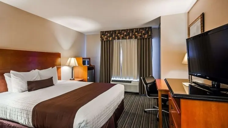 Standard Oda, 1 En Büyük (King) Boy Yatak, Sigara İçilmez, Buzdolabı ve Mikrodalga (Pet Friendly)
