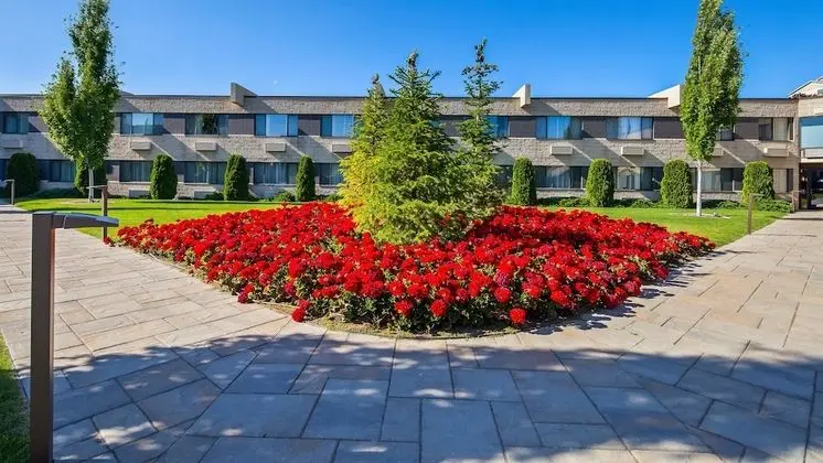 Standard Oda, 1 En Büyük (King) Boy Yatak, Sigara İçilmez, Buzdolabı ve Mikrodalga