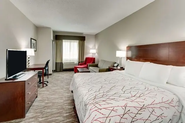 Süit, 1 En Büyük (King) Boy Yatak ve Çekyat, Sigara İçilmez, Buzdolabı ve Mikrodalga (with Sofabed)