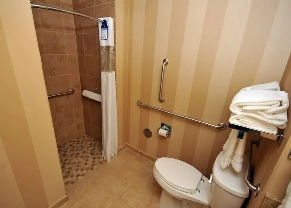 Standard Oda, 1 En Büyük (King) Boy Yatak, Engellilere Uygun, Sigara İçilmez (Walk-in Shower)
