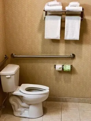 Standard Oda, 2 Büyük (Queen) Boy Yatak, Engellilere Uygun, Küvet