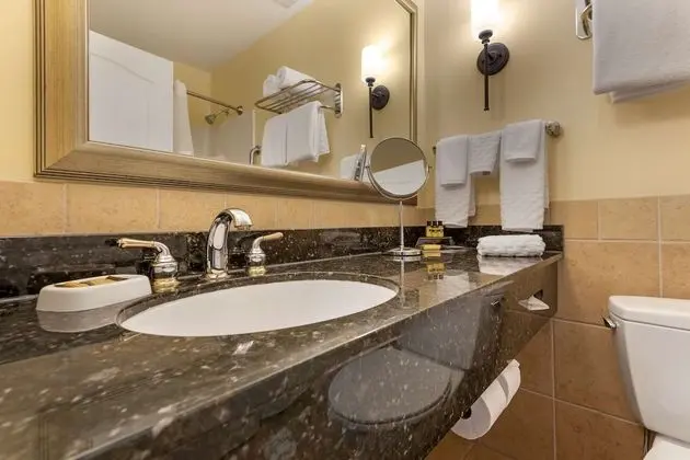 Standard Oda, 1 En Büyük (King) Boy Yatak, Sigara İçilmez (Shower Only;with Sofabed)
