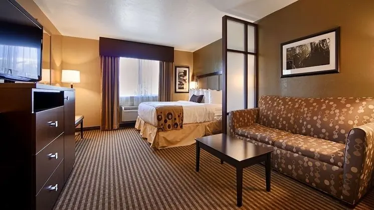 Executive Oda, 1 En Büyük (King) Boy Yatak ve Çekyat, Sigara İçilmez (with Sofabed)