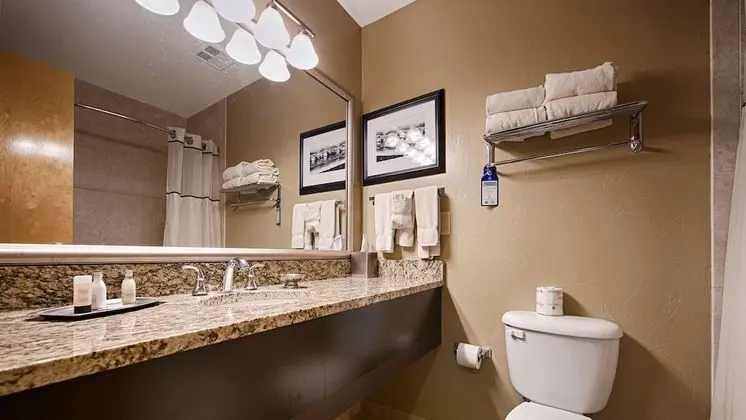 Executive Oda, 1 En Büyük (King) Boy Yatak ve Çekyat, Sigara İçilmez (with Sofabed)