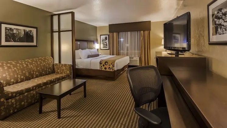 Executive Oda, 1 En Büyük (King) Boy Yatak ve Çekyat, Sigara İçilmez (with Sofabed)