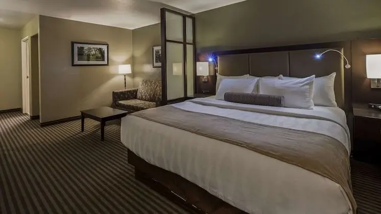 Executive Oda, 1 En Büyük (King) Boy Yatak ve Çekyat, Sigara İçilmez (with Sofabed)