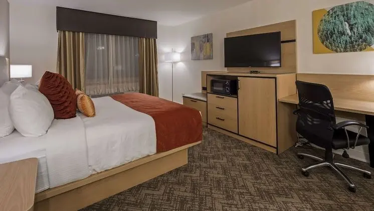 Standard Oda, 1 En Büyük (King) Boy Yatak ve Çekyat, Buzdolabı ve Mikrodalga (with Sofabed)