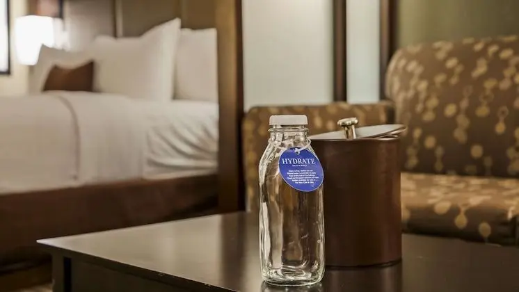 Standard Oda, 1 En Büyük (King) Boy Yatak ve Çekyat, Buzdolabı ve Mikrodalga (with Sofabed)