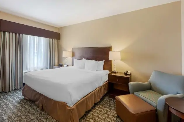 Standard Oda, 1 En Büyük (King) Boy Yatak, Sigara İçilmez, Buzdolabı ve Mikrodalga (Pet Friendly)