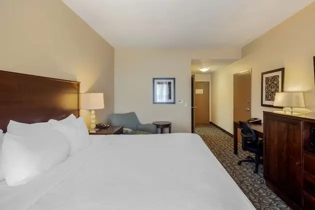 Standard Oda, 1 En Büyük (King) Boy Yatak, Sigara İçilmez, Buzdolabı ve Mikrodalga (Pet Friendly)