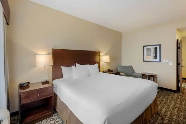 Standard Oda, 1 En Büyük (King) Boy Yatak, Sigara İçilmez, Buzdolabı ve Mikrodalga (Pet Friendly)