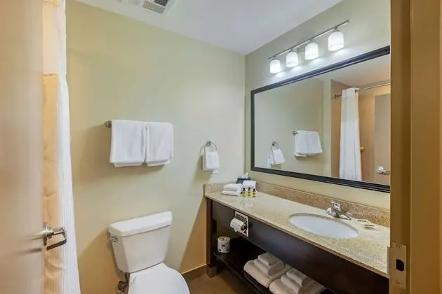 Standard Oda, 1 En Büyük (King) Boy Yatak, Sigara İçilmez, Buzdolabı ve Mikrodalga (Pet Friendly)