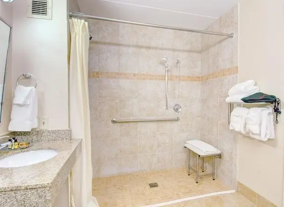 Standard Oda, 2 Çift Kişilik Yatak, Engellilere Uygun, Sigara İçilmez (Bathtub)