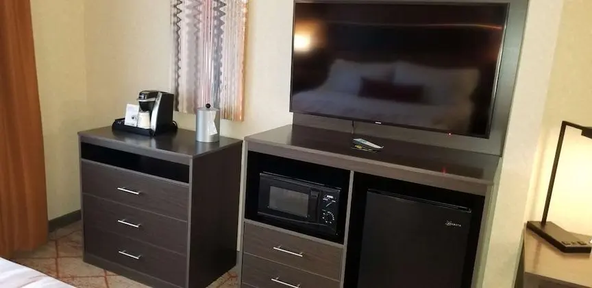 Standard Oda, Birden Çok Yatak, Sigara İçilmez, Buzdolabı ve Mikrodalga (with Sofabed)