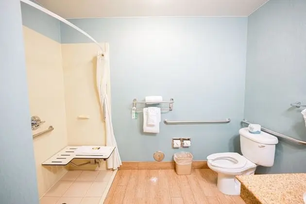 Süit, 1 En Büyük (King) Boy Yatak, Engellilere Uygun, Sıcak Su Küveti (Walk-in Shower)