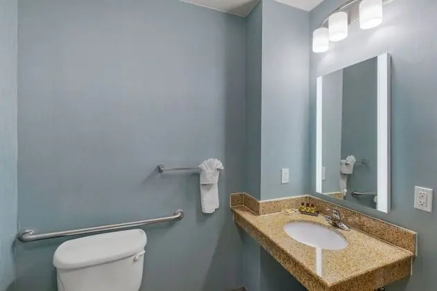 Süit, 1 En Büyük (King) Boy Yatak, Engellilere Uygun, Sıcak Su Küveti (Walk-in Shower)
