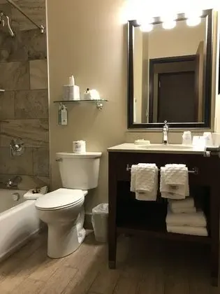 Standard Oda, 2 Çift Kişilik Yatak, Sigara İçilmez (No Pets in room type)