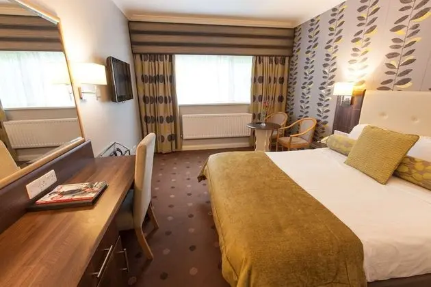 Deluxe Oda, 1 Çift Kişilik Yatak, Sigara İçilmez