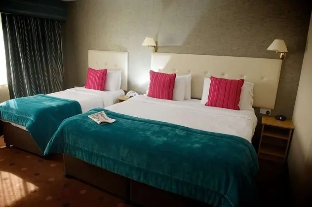 Deluxe Oda, Birden Çok Yatak, Sigara İçilmez