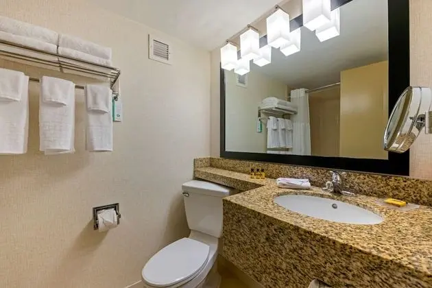 Standard Oda, 1 En Büyük (King) Boy Yatak, Sigara İçilmez, Balkon