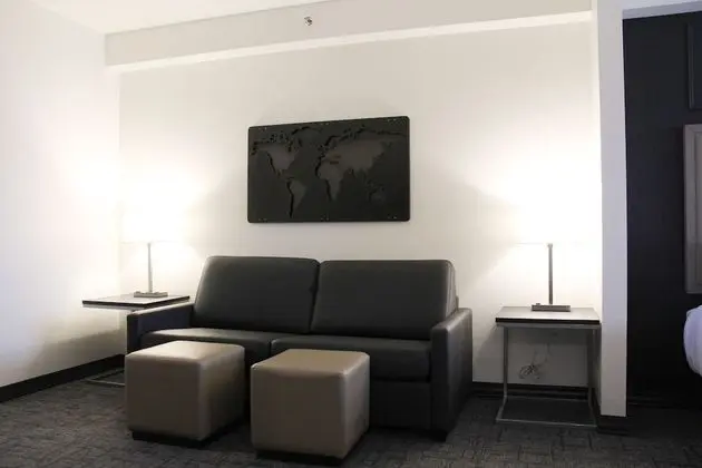 Süit, Birden Çok Yatak, Buzdolabı ve Mikrodalga (with Sofabed)