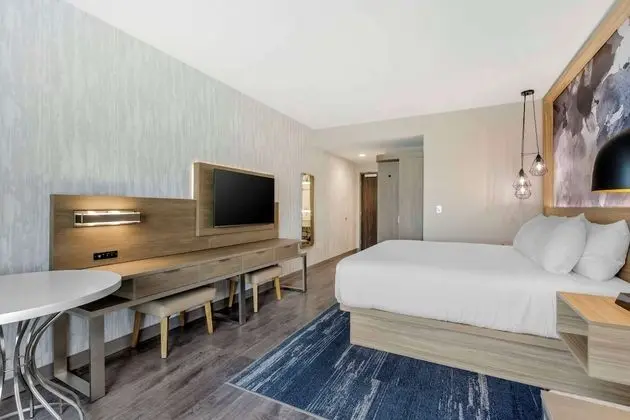 Standard Oda, 1 En Büyük (King) Boy Yatak, Sigara İçilmez (Walk-in Shower)
